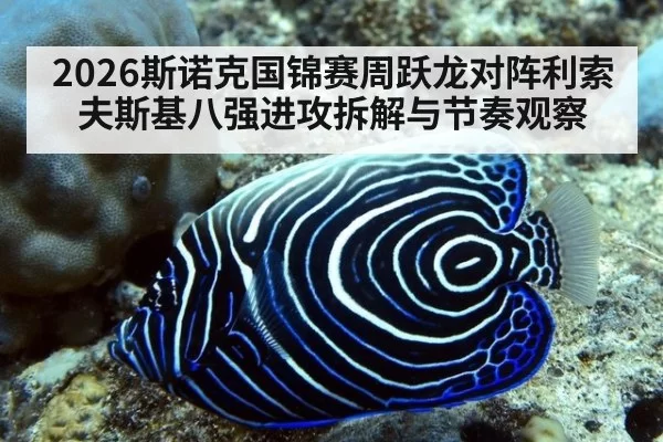 2026斯诺克国锦赛周跃龙对阵利索夫斯基八强进攻拆解与节奏观察
